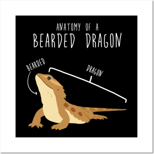 Bearded Dragon Lizard Reptile Anatomy Posters and Art